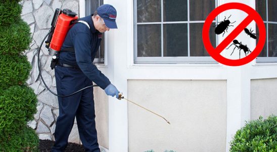 Oğuzlar Böcek İlaçlama böcek ilaçlama ve haşere kontrolü — ilaclama-tr.com